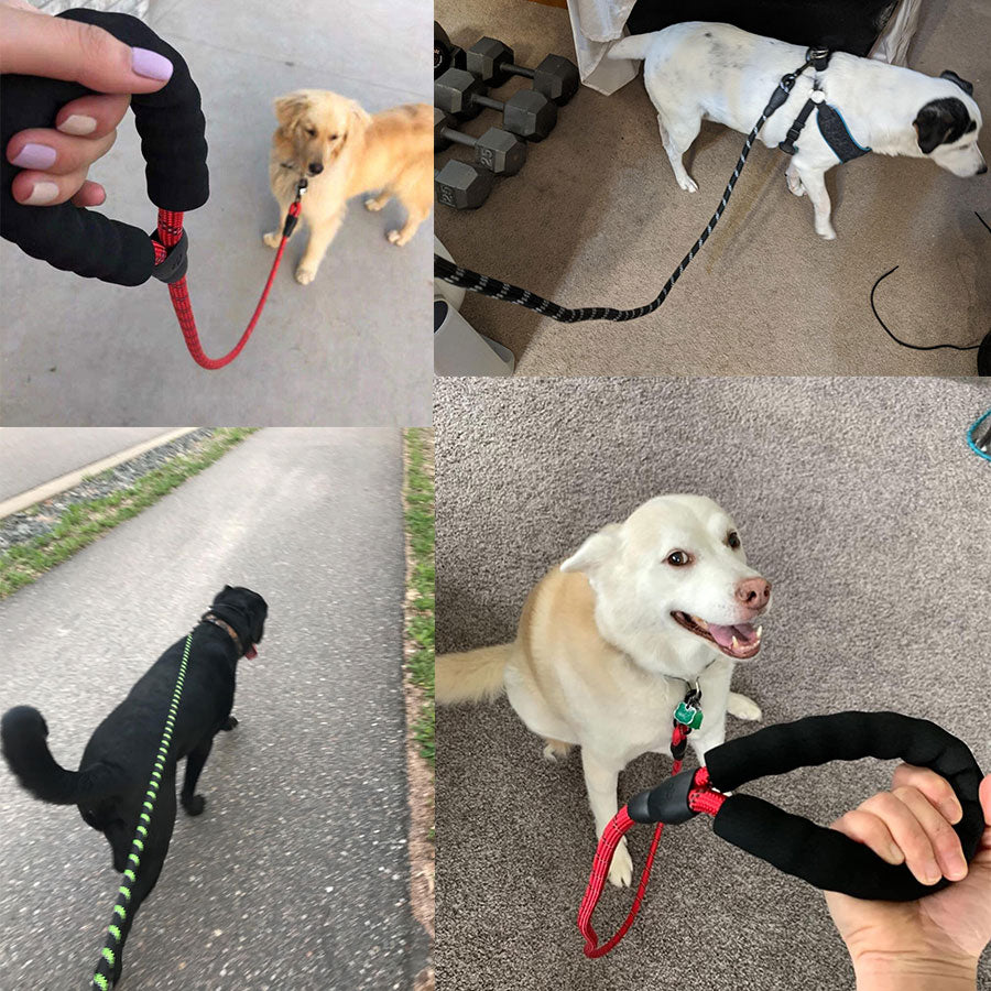 Small Medium Sized Pet Dog Luminous Leash Chain Puppies - Snazzy Gear